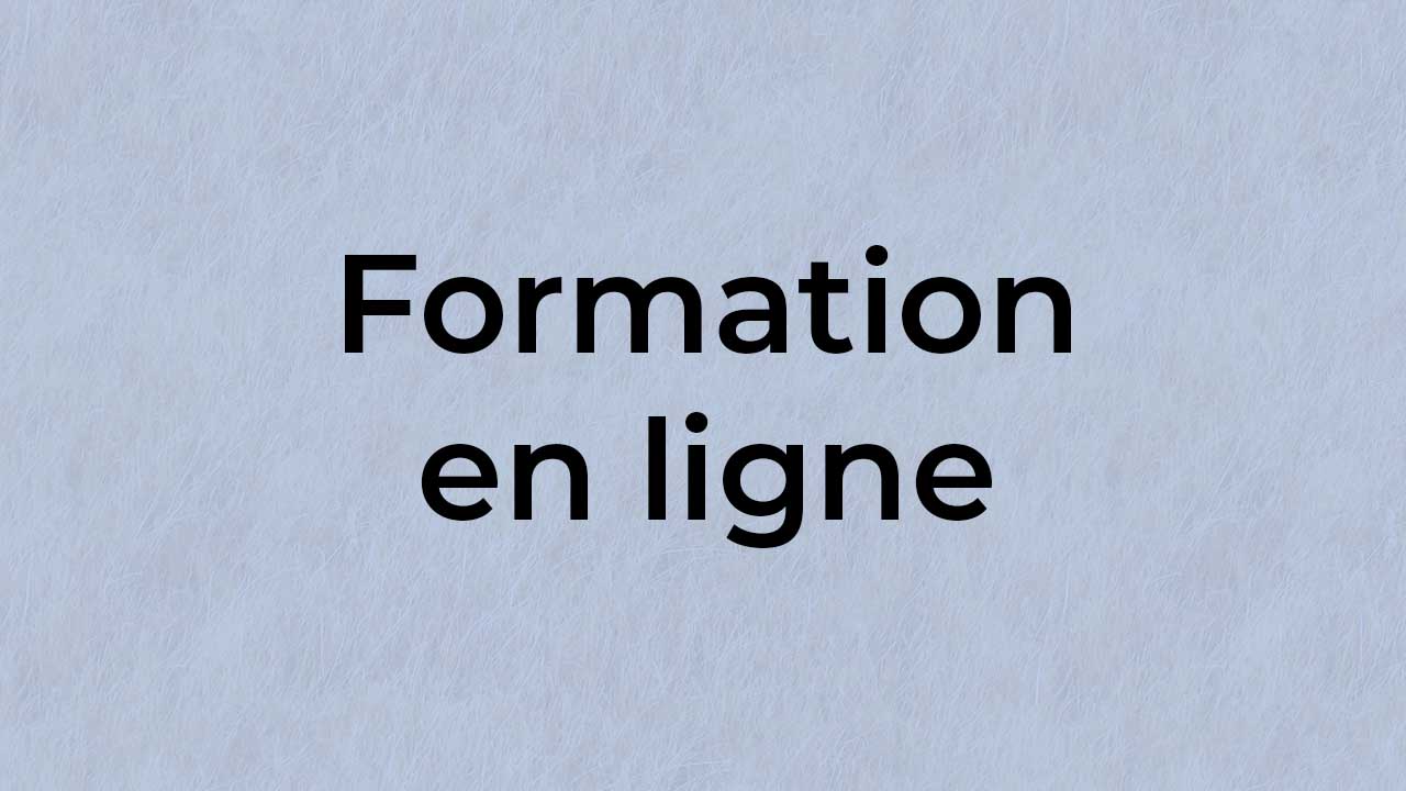 epnll-formations-cours-en-ligne-catégorie - formation en présentiel - ecole de pnl de lausanne - valery comte - r